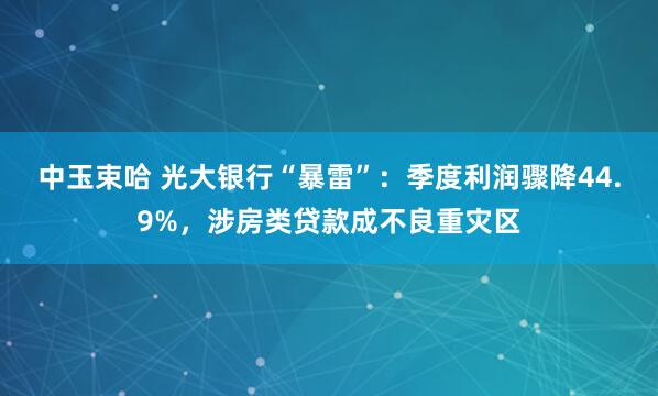 中玉束哈 光大银行“暴雷”：季度利润骤降44.9%，涉房类贷款成不良重灾区