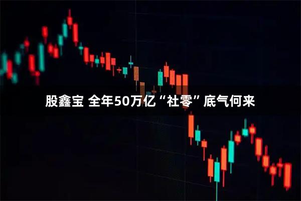 股鑫宝 全年50万亿“社零”底气何来